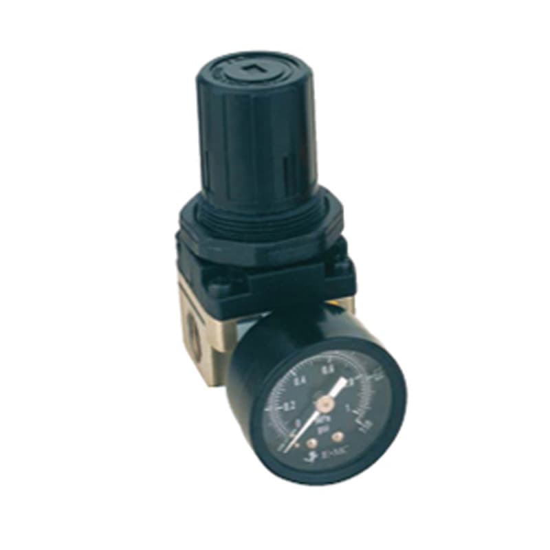 REGULADOR 1/4 1200 L/MIN CON MANOMETRO EIR2000-02